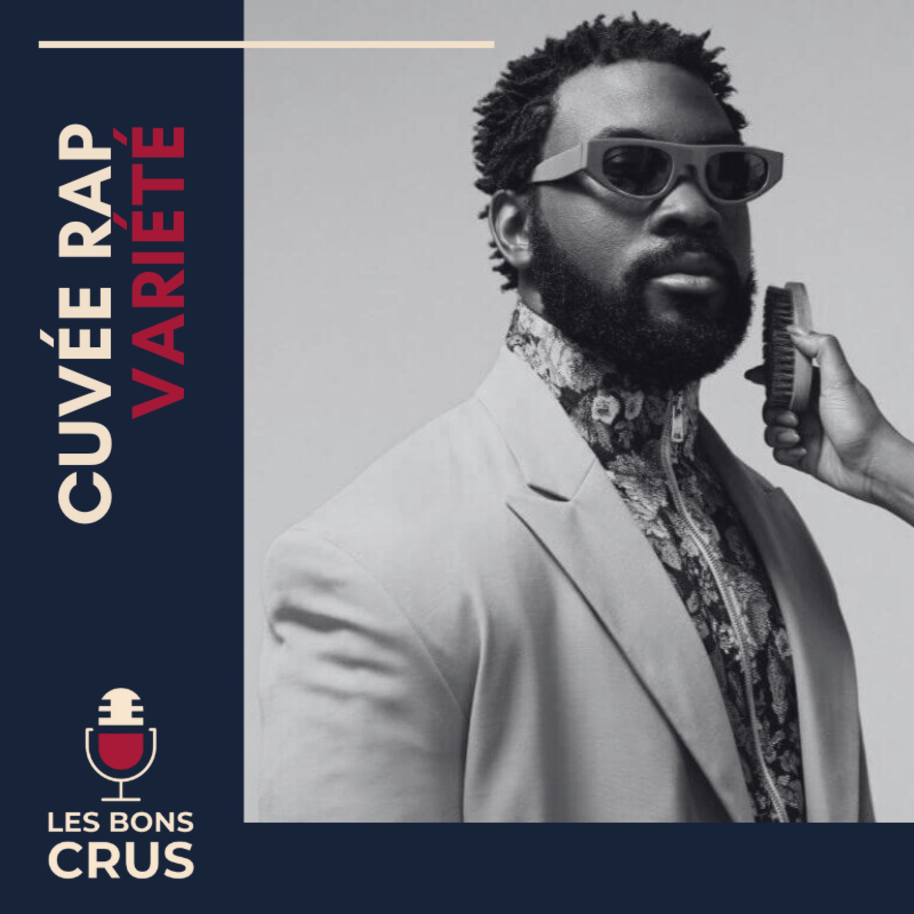 Rap français et variété, on connait la chanson - Cuvée Rap